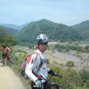 지품6 Daum카페