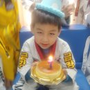 새빛 태권도 이미지