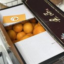 태호농장 | 두뇌야 먹은만큼 돌아가렴🧠💬💡