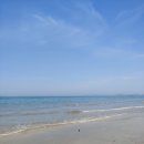 신진펜션호텔 이미지