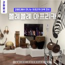 주문진관광안내센터 | 강원도 영월관광센터에서 만나는 아프리카, 뽈레뽈레아프리카 후기