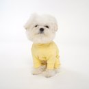 (주)피에이 이미지