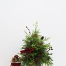 12/11 크리스마스 생화 트리 이미지