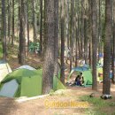 백운산 캠핑장 이미지