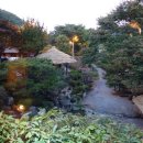 참나무쟁이 이미지