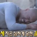 늘;예쁘게 이미지