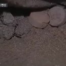 커피박 이미지
