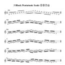 Am Key 3 Block Pentatonic Scale 응용연습 이미지