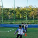 세종퍼스트에프씨