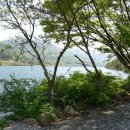 참좋은 황토펜션 이미지