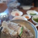 지화자7080