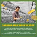 갑부푸드