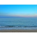 천진마을 이미지