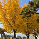 실과 함께 이미지