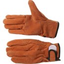 동호상사 이미지