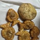 씨유 평택세교부영점 | 컴포즈 감자빵 미니붕어빵 후기