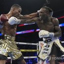 J World boxing 이미지