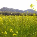 남산초등학교 이미지