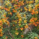 대봉1동주민센터 이미지