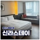 해운대로570번길 | 🛏️ [부산 해운대] 숙소 추천 &#34;신라스테이 해운대&#34; 디럭스 더블 시티뷰 객실, 부대시설 후기