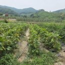 가흥공인중개사사무소 이미지