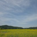 송파 루이비스컨벤션 문정 혼주메이크업 업체 비교 및 예약 (내돈내산)
