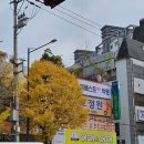 체형교정 태권도 | 광주체형교정 고민? 봉선교정원 마사지 직접 받아본 후기