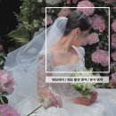 패키지 안내 : 드레스와 어울리는 퍼스널 컬러 상담 후 '본식 염색 시기와 컬러 추천' (by 유위크헤어)