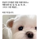 네모의꿈 이미지