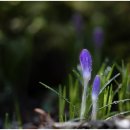 구암농장 이미지