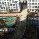 도담동늘봄초등학교 이미지