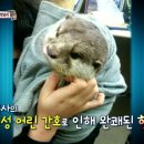 햇님농장 이미지