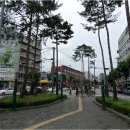 응암동 109-1 이미지