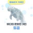 대해수산 이미지