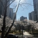 이마트24 영통주공5단지점 | [내 집 마련 시즌2] #5. 화서역 인근 아파트 "화서역푸르지오에듀포레" 임장 후기