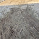 운동장진입로 이미지