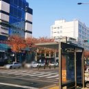 대우미래세탁소 네이버블로그