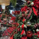 모던 | 크리스마스 느낌 충전하러 모던하우스 다녀온 후기