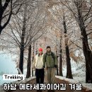 당정타워 | 하남 메타세콰이어길 당정뜰 겨울 첫눈 실시간 서울근교 산책 가볼만한곳