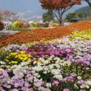 추모공원 야외 이미지