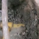 대동빌라 이미지