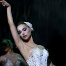 블랙스완 카카오 검색결과