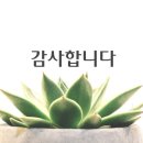 이수뜨락 이미지