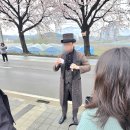 송이조각공원 화장실 | 양양 벚꽃축제 다녀왔습니다 🌸 송이조각공원 솔직한 후기