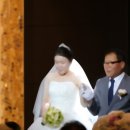 피엔제이 이미지