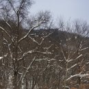 영재민박