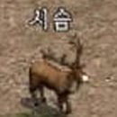 시슴