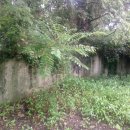 여주-1140 이미지