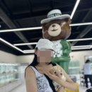 인천강아지분양 테디럽 이미지