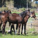 해피투데이 2 이미지